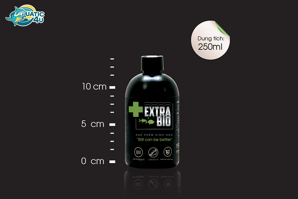 Cách Tạo Vi Sinh Cho Hồ Cá